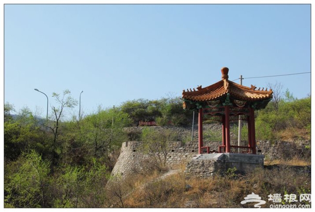 帶著寵物去旅游 北京可以帶狗狗玩的地方大集合!
