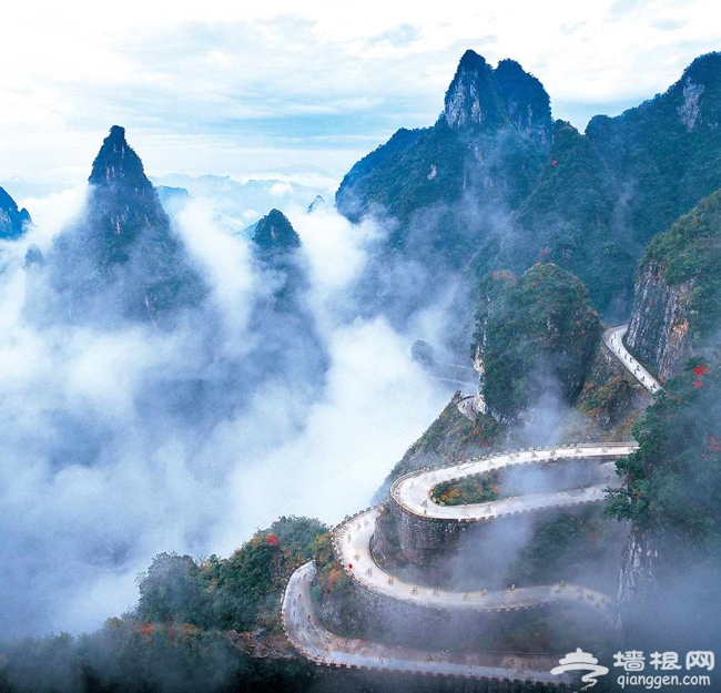 帶著寵物去旅游 北京可以帶狗狗玩的地方大集合!