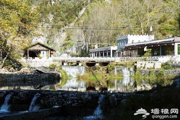 京郊懷柔：板栗飄香響水湖