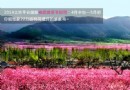 2015平谷桃花節深度游玩攻略