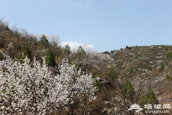 白河峽谷 京郊燒烤漂流聖地