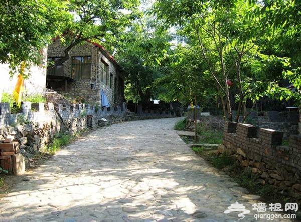 清明如何玩?京郊踏青+住宿指南