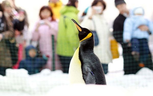 冰雪盛宴 陶然亭公園第四屆冰雪嘉年華