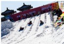 2014第四屆龍潭冰雪文化嘉年華 冰雪世界的親密接觸
