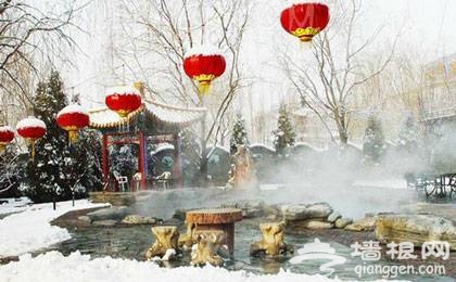 北京周末去哪玩兒?冬季溫暖采摘游（組圖）