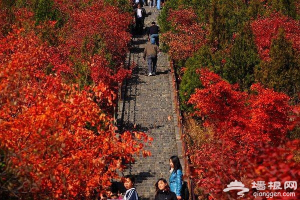 京郊一抹紅：紅螺山紅螺寺賞紅葉攻略推薦