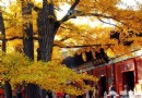 紅螺寺