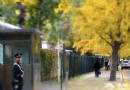 三裡屯東五街 成排銀杏裝點深秋