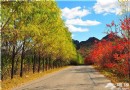 延慶玉渡山獨特賞紅地 金秋五彩斑斓美景圖