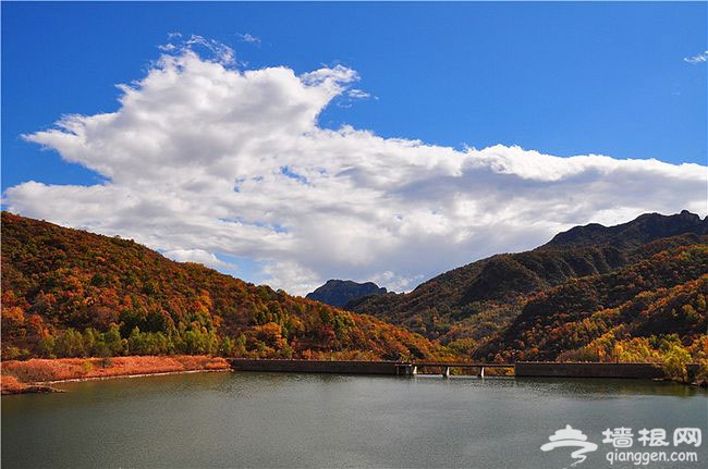 延慶玉渡山獨特賞紅地 渾然天成金秋五彩斑斓美景圖