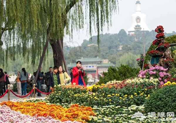 北海公園 北京開封菊花文化節 