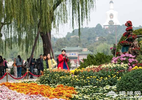 北海公園 北京開封菊花文化節