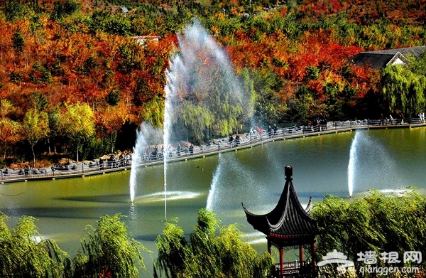 北京11月份去哪玩  金秋賞彩葉享受最純正的大自然美景