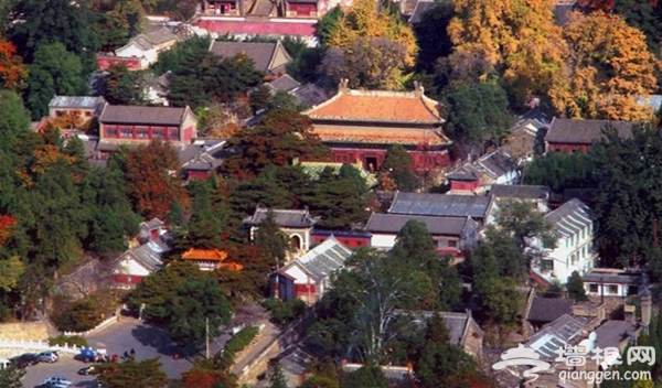 祈福賞紅葉 潭柘龍袍臨古寺
