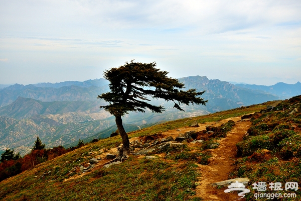 靈山·一覽秋日美