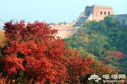 八達嶺國家森林公園賞紅葉 游玩線路推薦