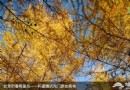 喇叭溝門賞秋游玩實用攻略