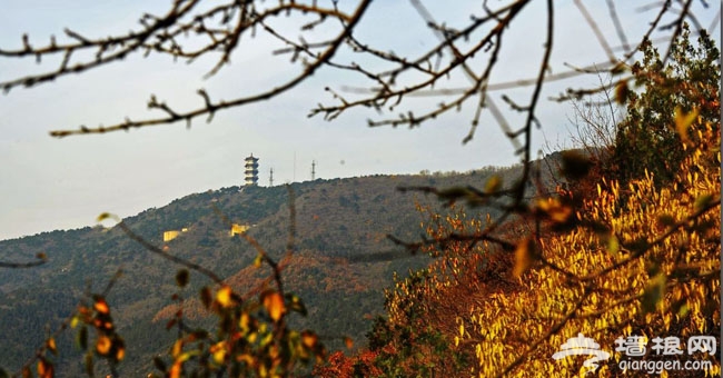 看紅葉 來蟒山國家森林公園