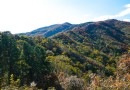 2013北京香山紅葉節賞紅葉攻略