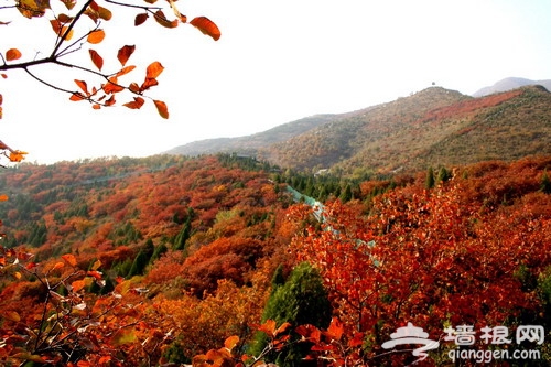 京城賞紅葉必去之處