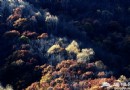 喇叭溝門 五彩斑斓“北極鄉”