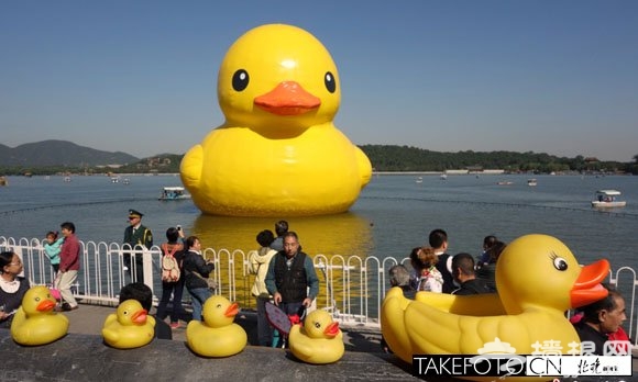 十一北京游攻略：北京動物園斑馬搬新家[牆根網]