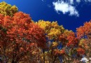 北京十月份去哪玩 水庫燒烤 登山賞秋 享金秋美色