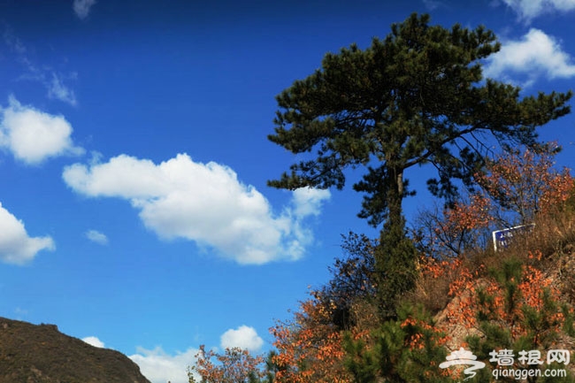 北京十月份去哪玩 水庫燒烤·登山賞秋 享金秋美色