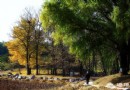 賞燕京八景 白虎澗自然風景區