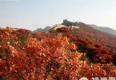 北京周邊賞紅葉好去處 層林盡染金秋爭艷
