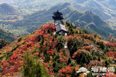 北京周邊賞紅葉好去處 層林盡染金秋爭艷[牆根網]