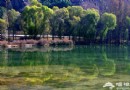 喇叭溝門原始森林 金秋登高賞美景