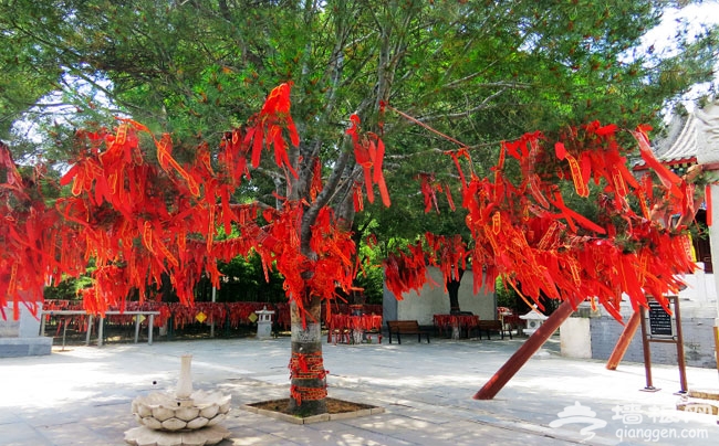 京郊古寺祈福之雲居寺 求子拜觀音