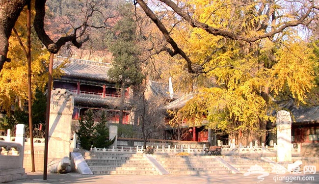 京郊古寺祈福之潭柘寺 祈福求功名