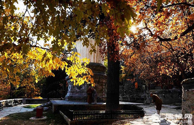 京郊古寺祈福之戒台寺 求靈符保平安 ·