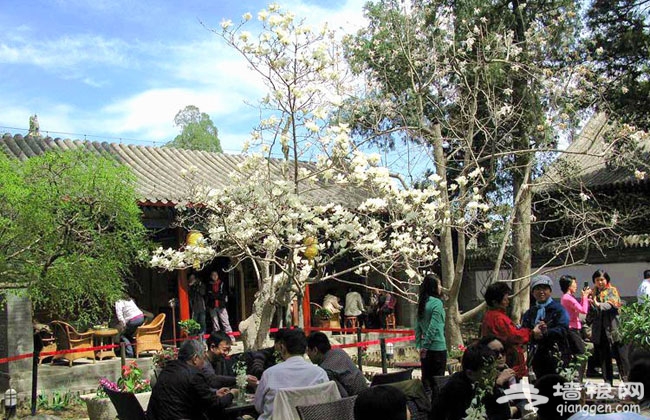 京郊古寺祈福之戒台寺 求靈符保平安 ·