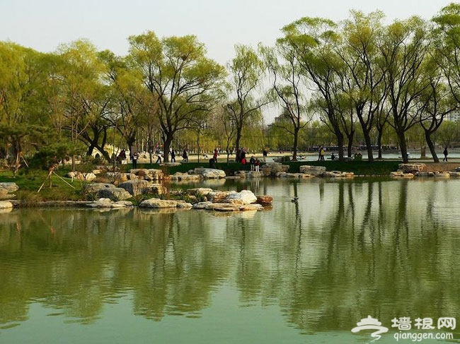在公園邂逅愛情 北京適合相親的公園大聚集