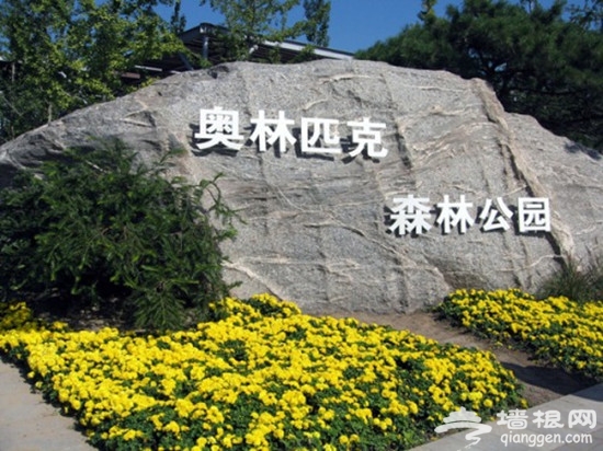 奧林匹克森林公園 城市中的綠野仙蹤