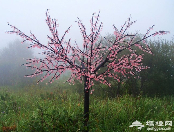 仙山神韻·雲霧缭繞 房山百花山