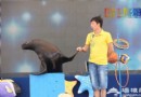 北京夏日狂歡聖地海洋沙灘節游玩攻略