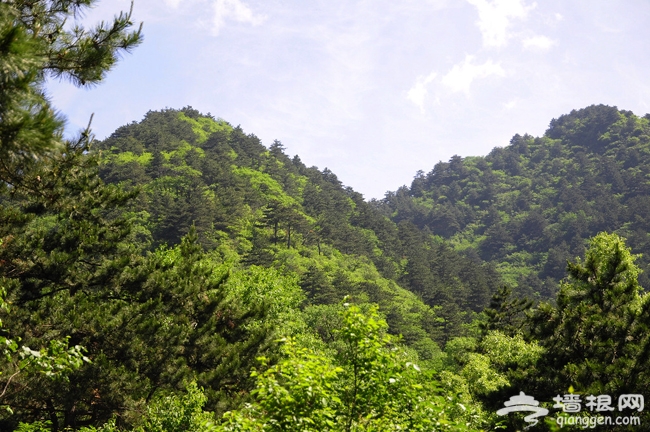 延慶松山 借著北京的藍天暢爽呼吸