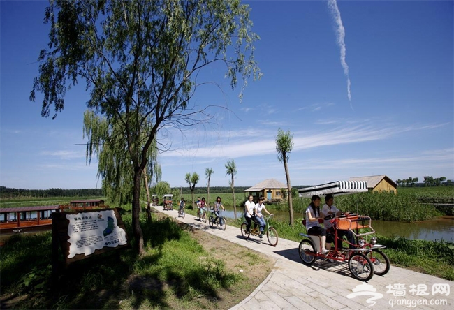 順義漢石橋濕地公園 趣味自行車推薦路線