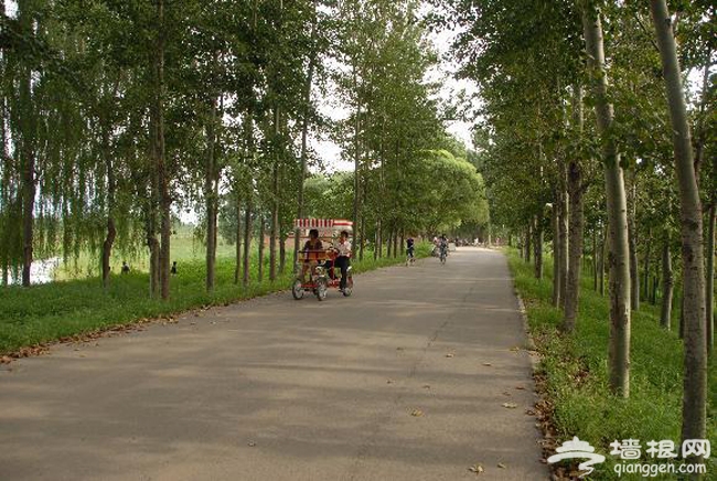 順義漢石橋濕地公園 趣味自行車推薦路線