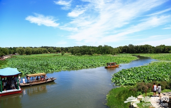 北京7月份去哪玩 賞荷漂流避暑爽一夏