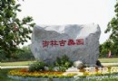 2013北京大興桑葚文化節采摘園推薦