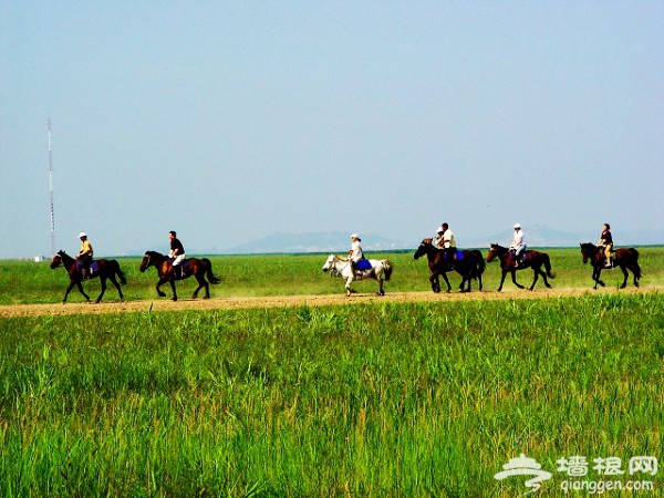 夏日周末京郊游 休閒騎馬三大好地兒