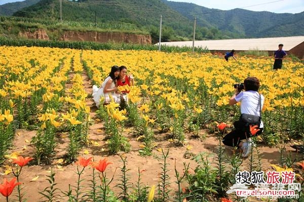 點擊圖片查看下一頁