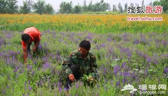 點擊圖片查看下一頁