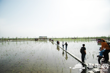 游覽線路推薦:1號門區入園 游“生態園博”