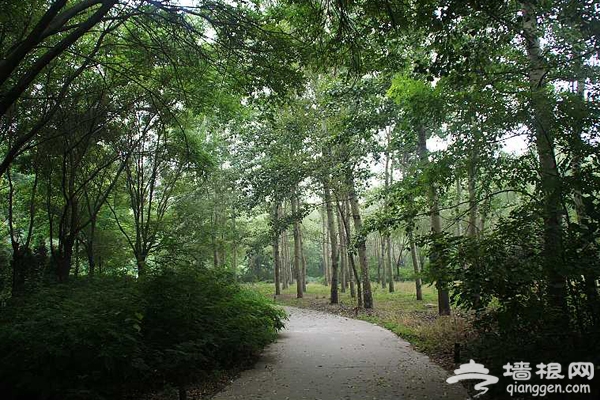 五一小長假 京郊熱門景區盤點